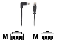 Black Box SpaceGAIN patch cable - 10 ft