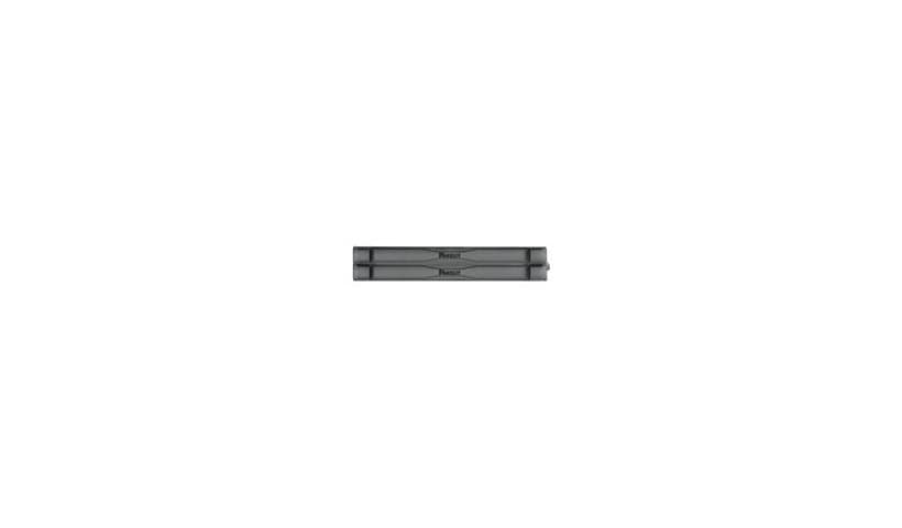 Panduit Tool-Less Blanking Panel - blank panel - 2U - single pack