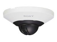 Sony IPELA SNC-DH210/W - network camera