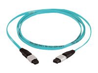 Panduit QuickNet MTP Interconnect Cable Assemblies - Multimode 10Gig - netw