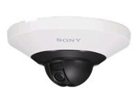 Sony IPELA SNC-DH110/W - network surveillance camera