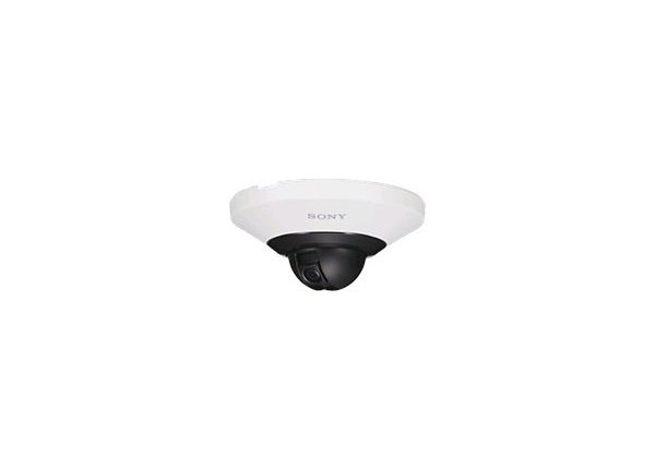 Sony IPELA SNC-DH110/W - network surveillance camera