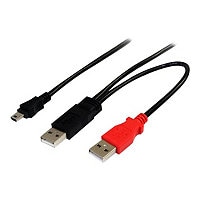 StarTech.com 3 ft USB Y Cable for External Hard Drive USB A to mini B