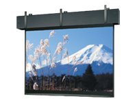 Da-Lite Professional Electrol Projection Screen - Projector Screen w/ Wooden Case and Trim - 216in