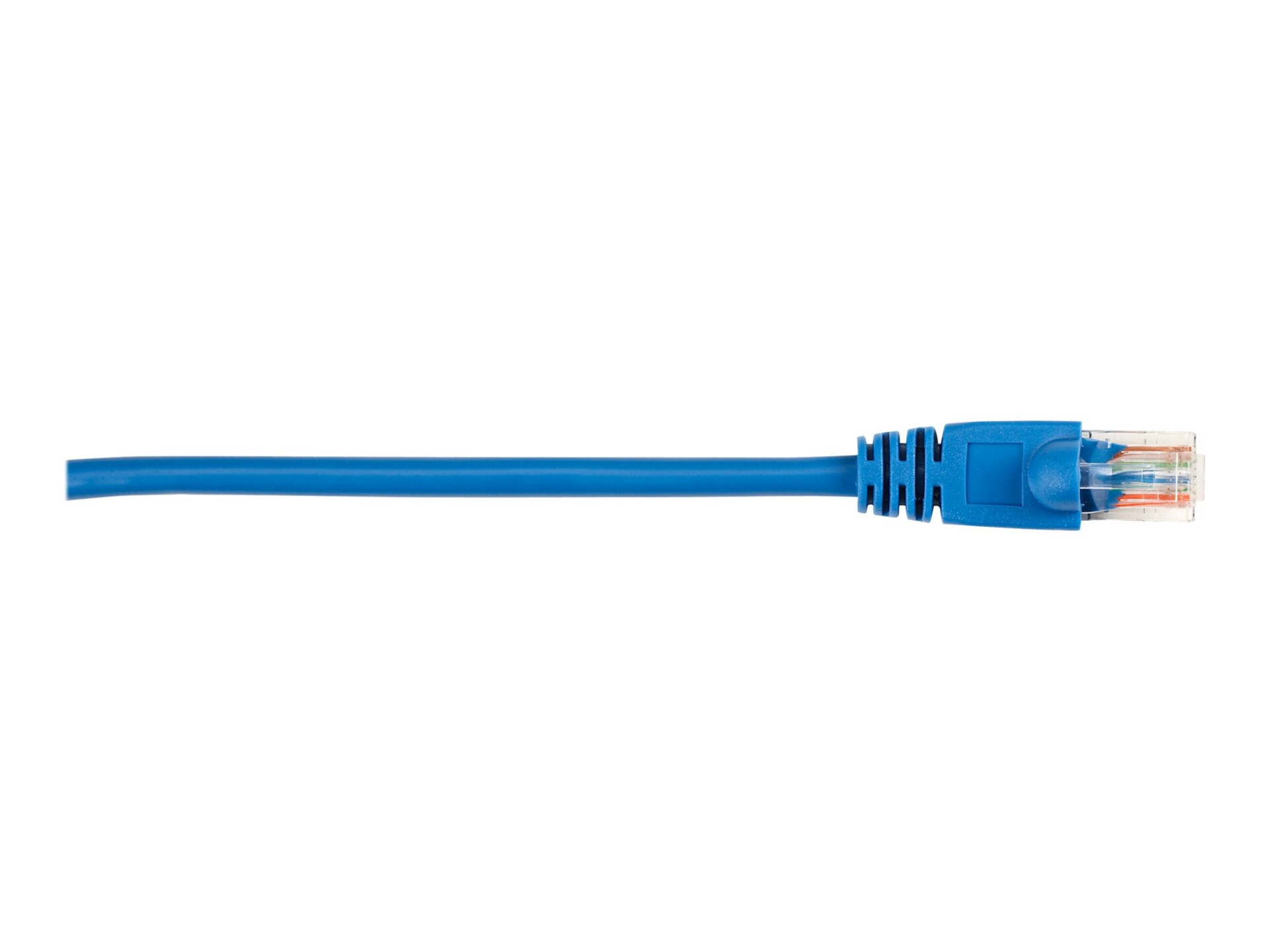 Black Box patch cable - 2 ft - blue