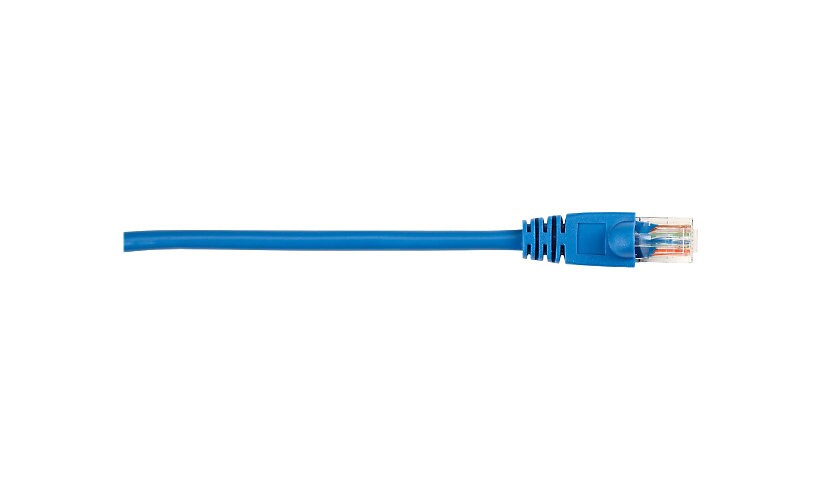 Black Box patch cable - 2 ft - blue