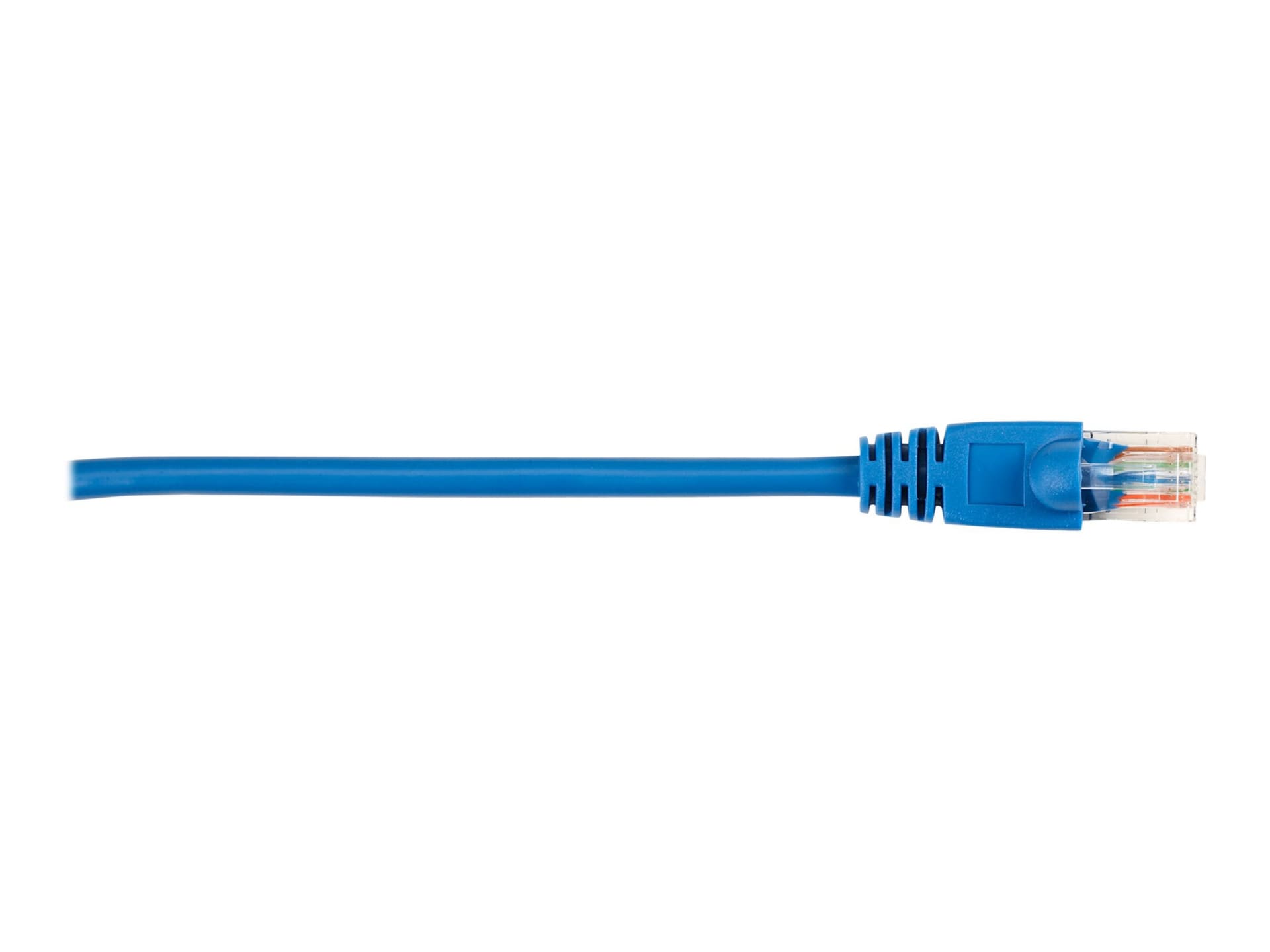 Black Box patch cable - 4 ft - blue