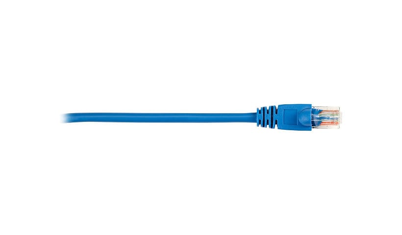 Black Box patch cable - 6 ft - blue