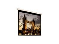AccuScreens Electric Screen - projection screen - 109 in ( 277 cm )