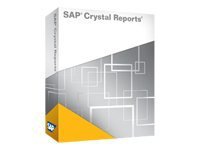 SAP Crystal Reports 2008