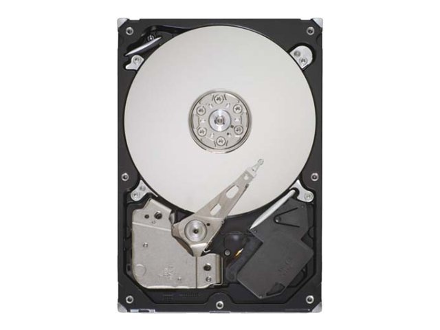 Seagate Desktop HDD ST31000524AS - hard drive - 1 TB - SATA-600