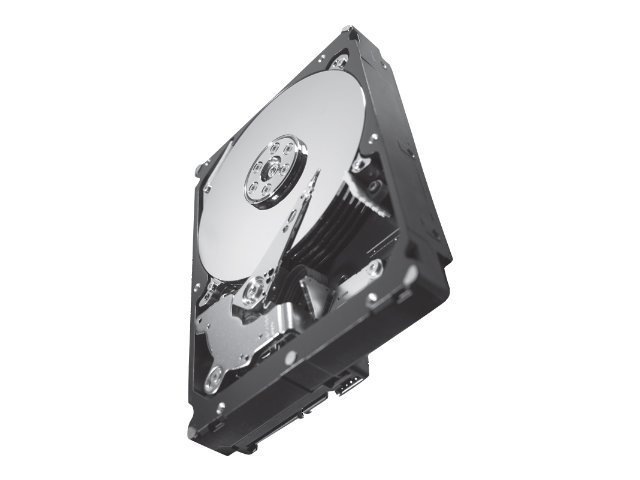 Seagate Constellation ES.2 ST33000650NS - hard drive - 3 TB - SATA-600