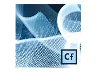 Adobe ColdFusion Builder (v. 2) - product upgrade license - 1 user