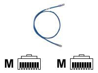 Panduit TX6 PLUS cordon de raccordement - 0.3 m - bleu