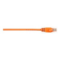 Black Box patch cable - 3 ft - orange