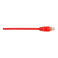 Black Box patch cable - 6 ft - red