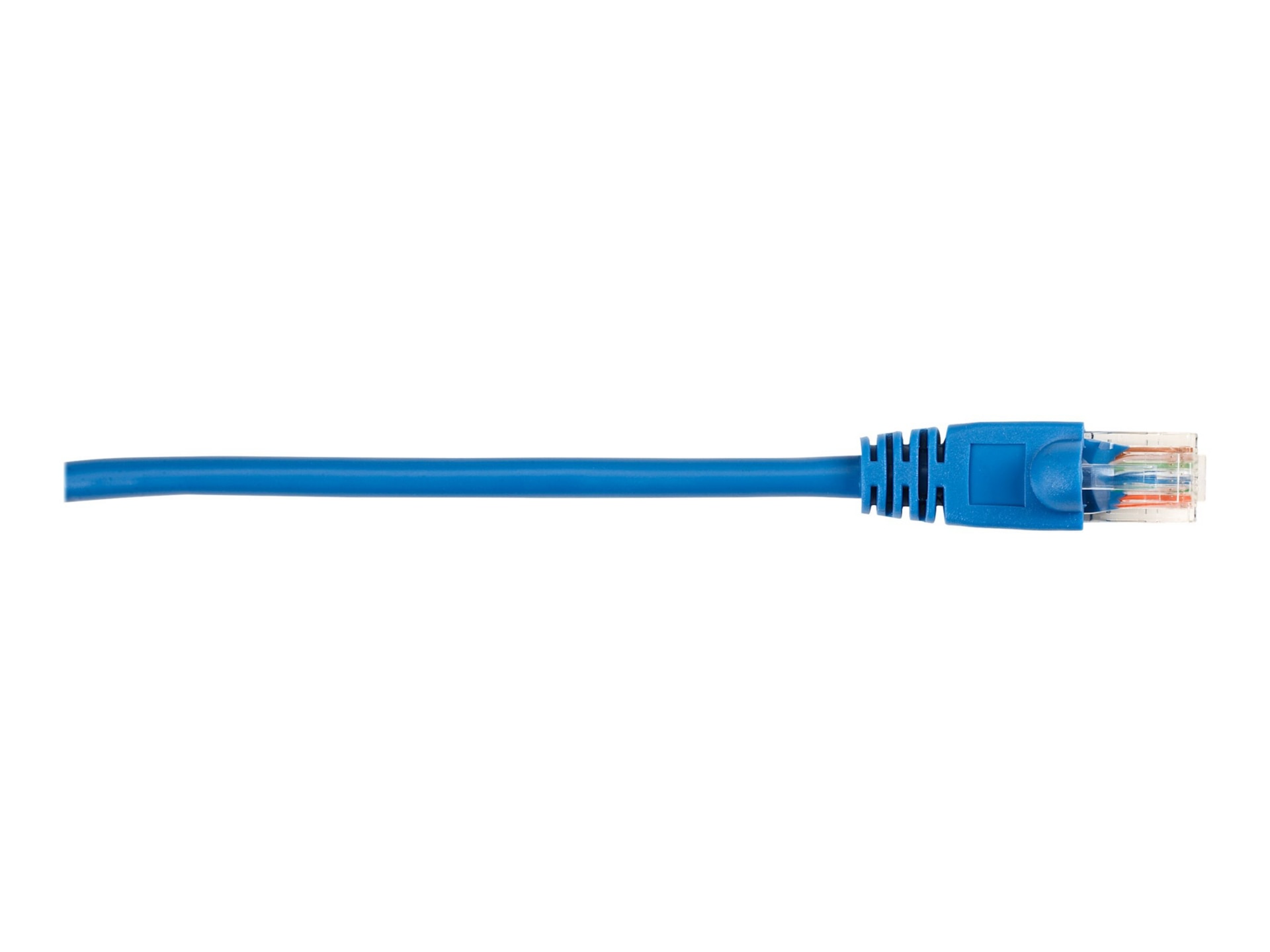 Black Box patch cable - 20 ft - blue