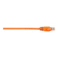 Black Box patch cable - 20 ft - orange