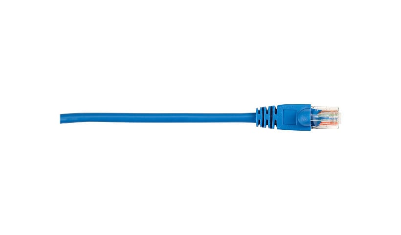 Black Box patch cable - 25 ft - blue