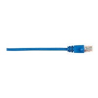 Black Box patch cable - 4 ft - blue