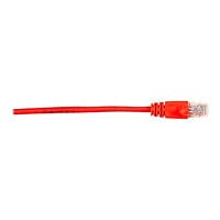 Black Box patch cable - 6 ft - red