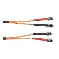 Black Box 1M ST/ST Duplex Multimode 62.5/125 OM1 Fiber Patch Cable, Orange