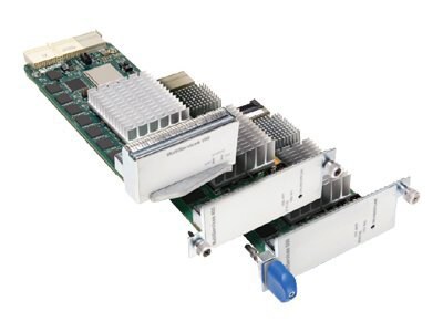 Juniper Networks Multiservices PIC Type 2 - expansion module