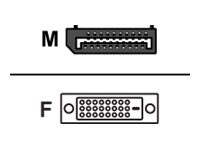 Wyse DisplayPort adapter