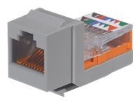 Panduit NetKey modular insert