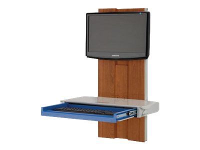 Capsa Healthcare Premium Slim Line w/Cabinet Finish, Wall Tech Box - mounti