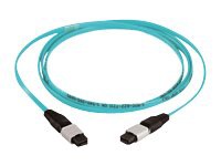 Panduit QuickNet MTP Interconnect Cable Assemblies - Multimode 10Gig - netw