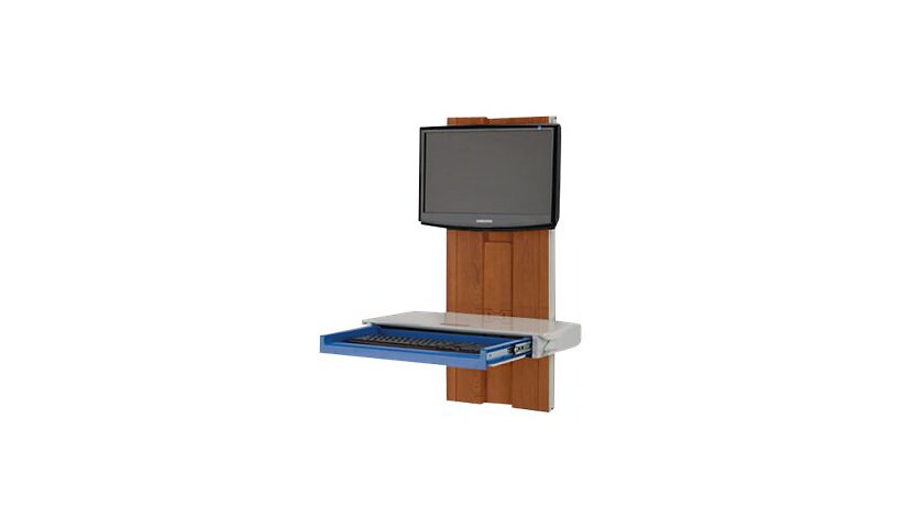 Capsa Healthcare Premium Slim Line w/Cabinet Finish, CPU Holder - mounting