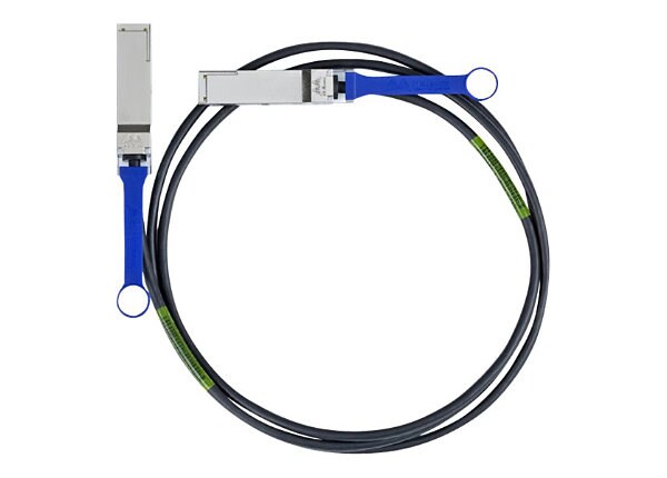 Mellanox Passive Copper Cables - InfiniBand cable - 10 ft