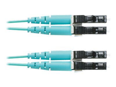 Panduit Opti-Core 10GIG - patch cable - 98 ft - aqua