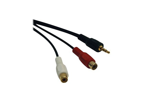 Tripp Lite 6ft 3.5mm Mini Stereo to Two RCA Audio Y Splitter Adapter Cable