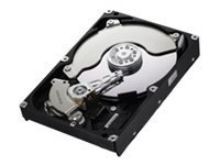 Samsung SpinPoint F3R Enterprise Class HE103SJ - hard drive - 1 TB - SATA-300