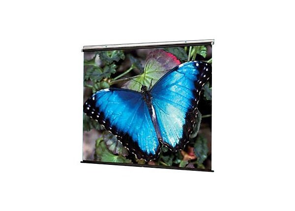 Draper V Screen projection screen