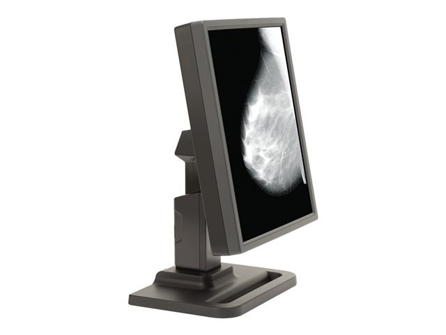E5 Single Grayscale Diagnostic Display Medical Monitor, No Video Card