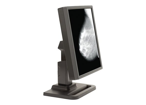 E5 Single Grayscale Diagnostic Display Medical Monitor, No Video Card