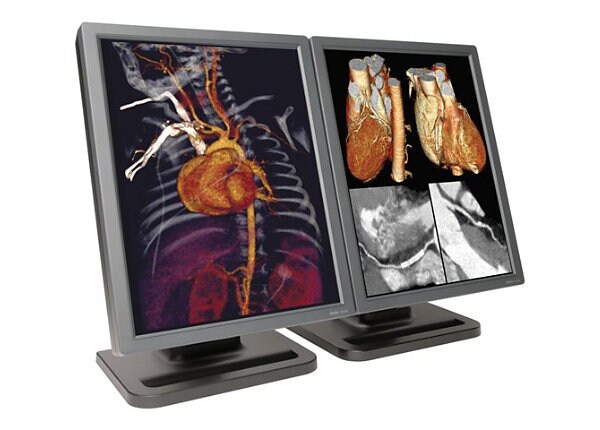 E3cHB Dual Color Diagnostic Display Medical Monitor, No Video Card