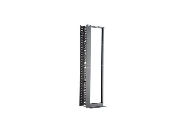 Panduit 2 Post Rack and Vertical Manager Combination Pack - rack - 45U