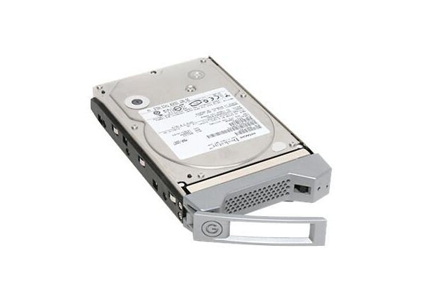 G-Technology Enterprise Spare Module GSPSW30001BAU - hard drive - 3 TB - SATA 3Gb/s