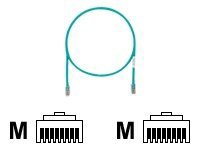 Panduit TX5e patch cable - 15 ft - green