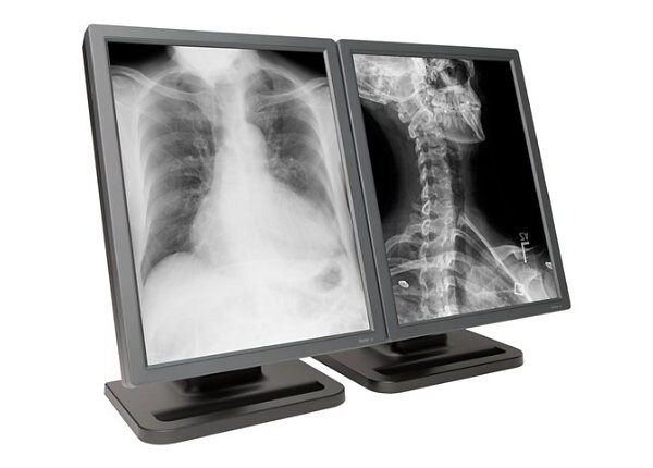 E3 Dual Grayscale Diagnostic Display Medical Monitor, No Video Card