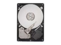Seagate Desktop HDD ST320DM000 - hard drive - 320 GB - SATA 6Gb/s