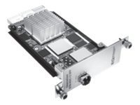 Juniper Networks Channelized IQ Physical Interface Card - expansion module