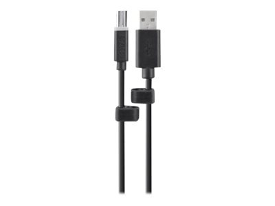 Belkin Common Access Card USB Cable - USB cable - 10 ft - B2B