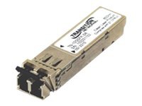 Transition Networks MSA Compatible - SFP+ transceiver module - 10 GigE