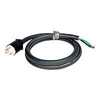 Tripp Lite - power cable - power industrial L6-30 - 10 ft