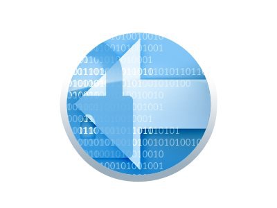 Data Domain Encryption - license - 1 license